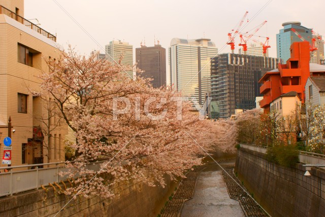 写真のタイトルが入ります