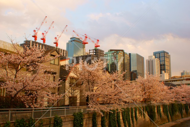 写真のタイトルが入ります
