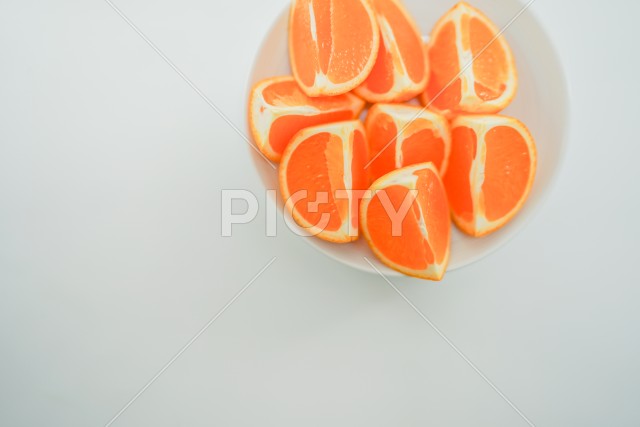 写真のタイトルが入ります