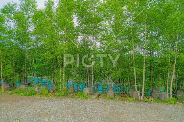 写真のタイトルが入ります