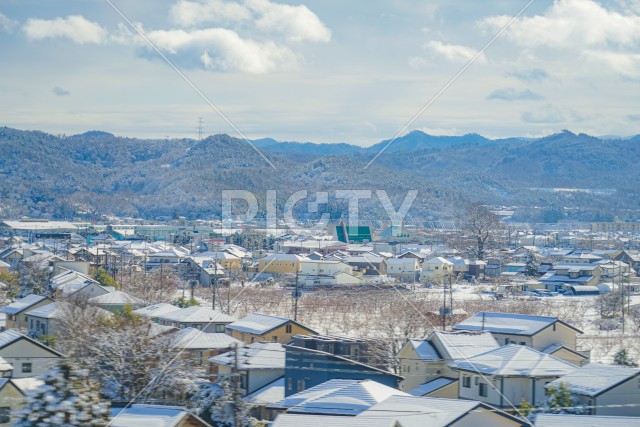 写真のタイトルが入ります
