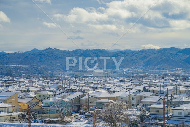 写真のタイトルが入ります