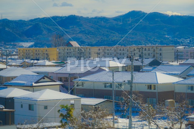 写真のタイトルが入ります