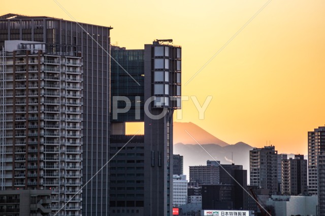写真のタイトルが入ります