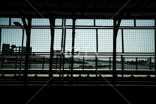 写真のタイトルが入ります