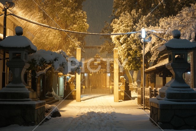 写真のタイトルが入ります