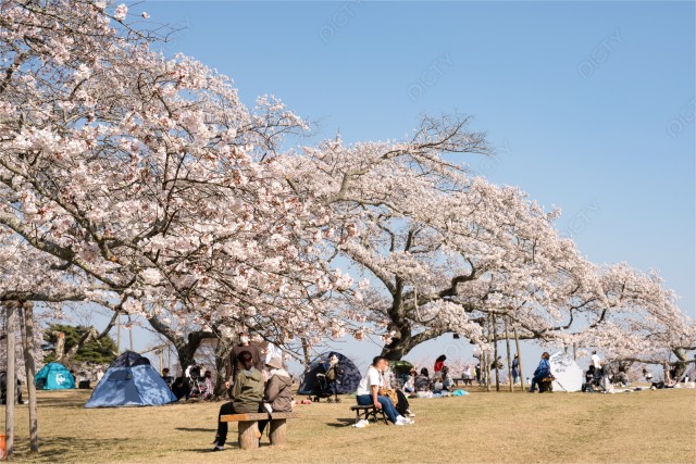 写真のタイトルが入ります