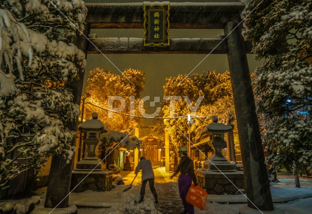 写真のタイトルが入ります
