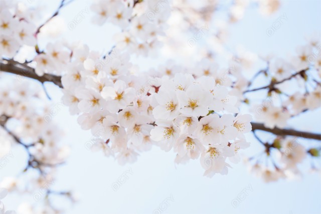 写真のタイトルが入ります