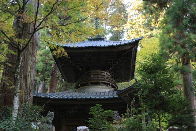 大雄山