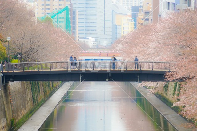 写真のタイトルが入ります