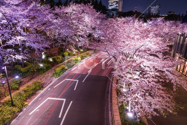 写真のタイトルが入ります