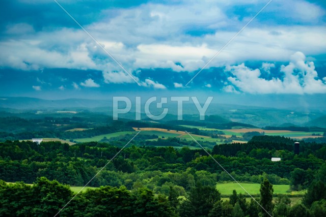 写真のタイトルが入ります