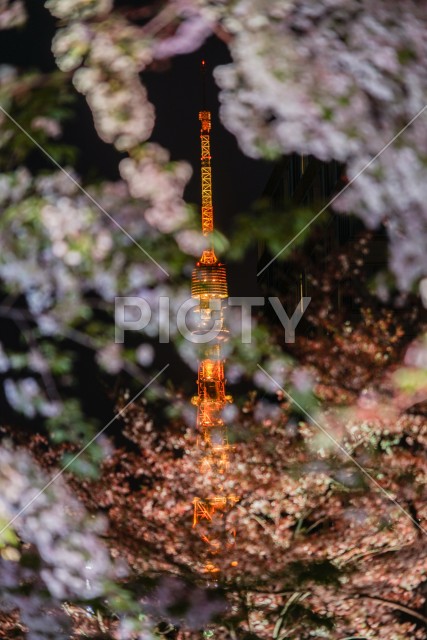 写真のタイトルが入ります