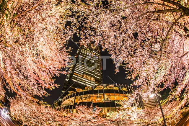 写真のタイトルが入ります