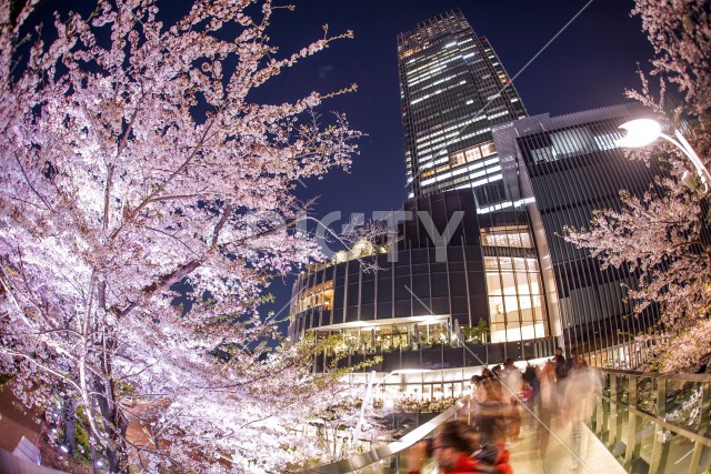 写真のタイトルが入ります