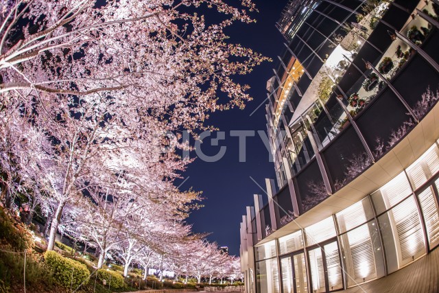 写真のタイトルが入ります