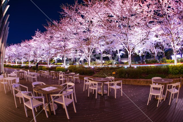 写真のタイトルが入ります