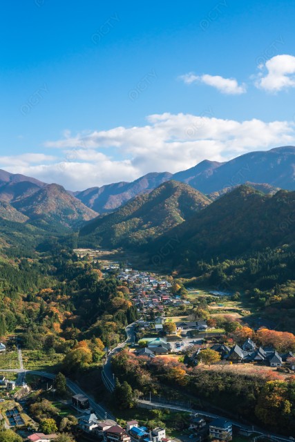 写真のタイトルが入ります
