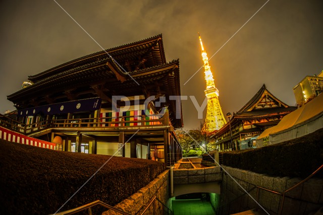 写真のタイトルが入ります