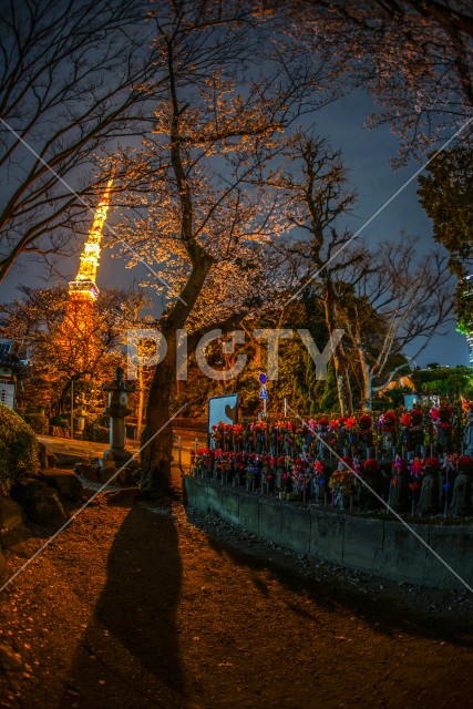 東京タワーと桜と地蔵