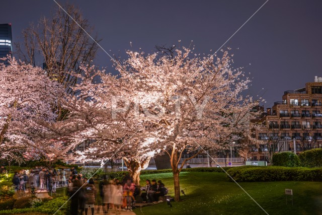 写真のタイトルが入ります