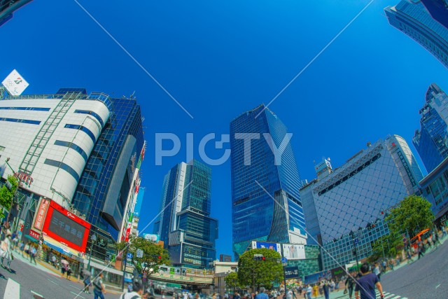 渋谷の町並みと青空