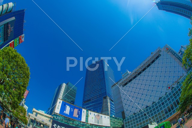 渋谷の町並みと青空