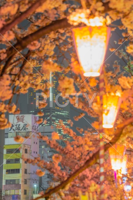 写真のタイトルが入ります