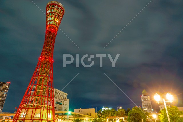 写真のタイトルが入ります