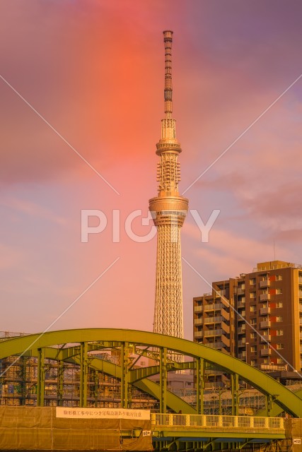 写真のタイトルが入ります