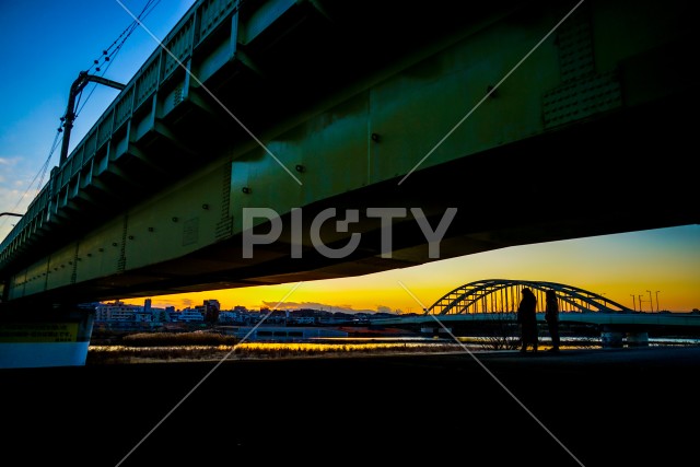 写真のタイトルが入ります