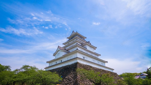 写真のタイトルが入ります