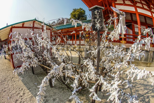 京都・平安神宮