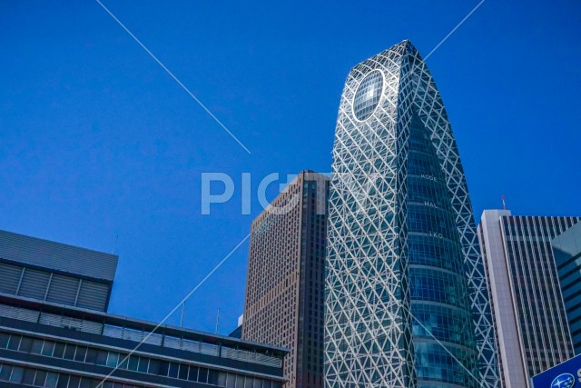 写真のタイトルが入ります