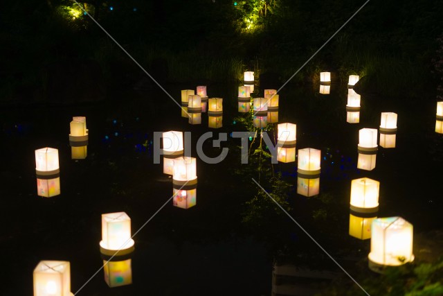 写真のタイトルが入ります