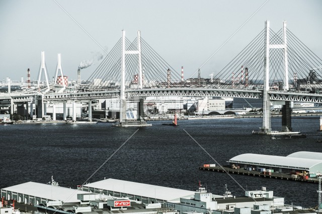 写真のタイトルが入ります