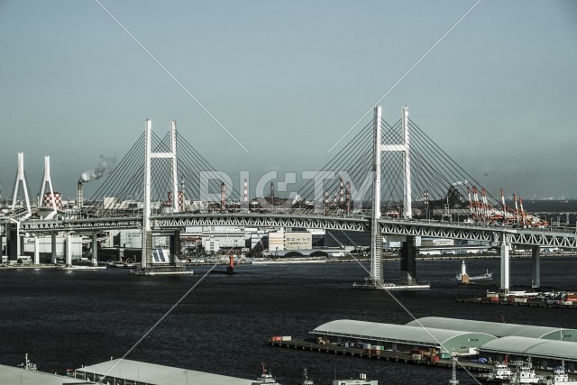写真のタイトルが入ります