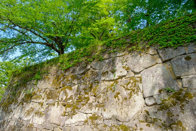写真のタイトルが入ります
