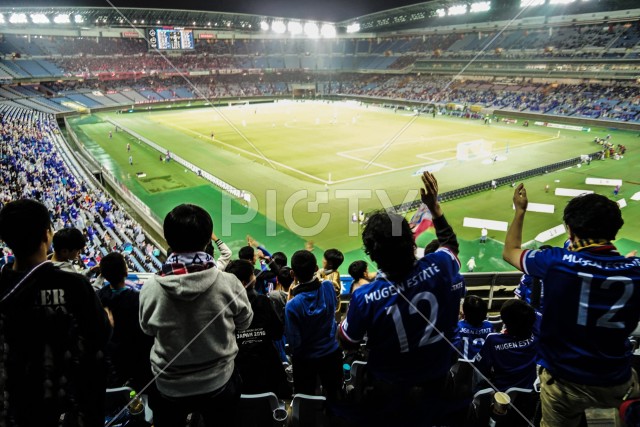 写真のタイトルが入ります