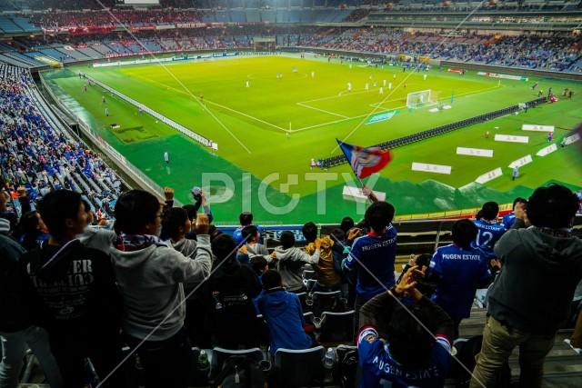 写真のタイトルが入ります
