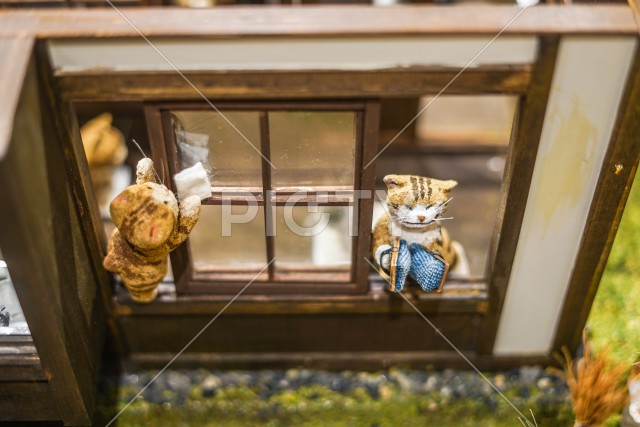 猫の学校