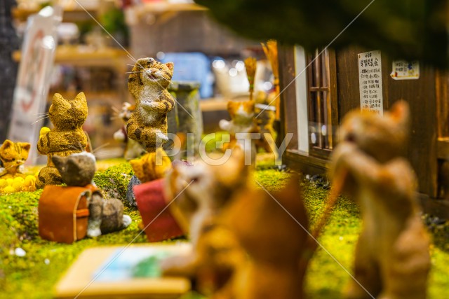 写真のタイトルが入ります