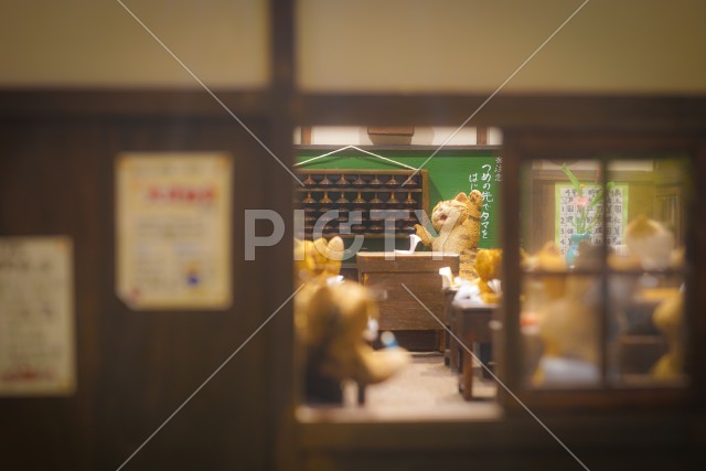 写真のタイトルが入ります
