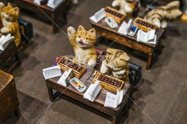 猫の学校