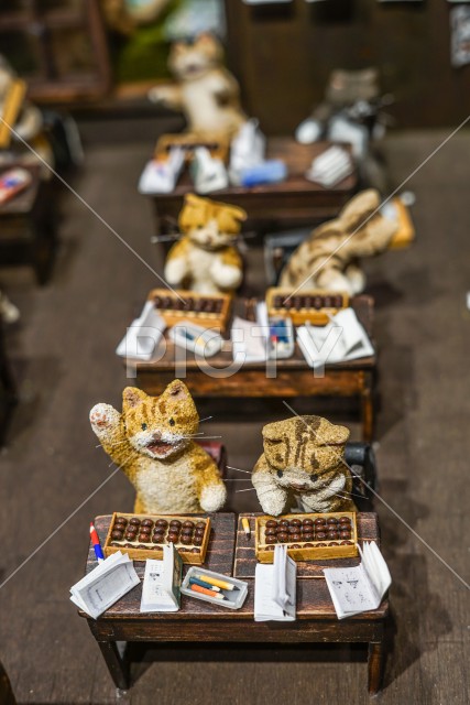 写真のタイトルが入ります
