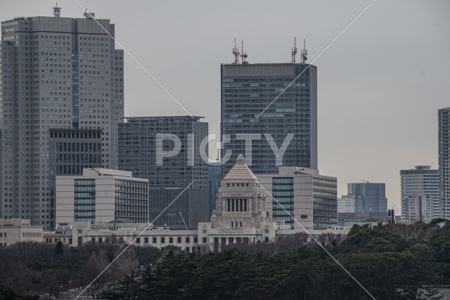 写真のタイトルが入ります