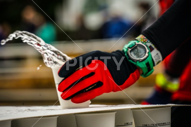 写真のタイトルが入ります