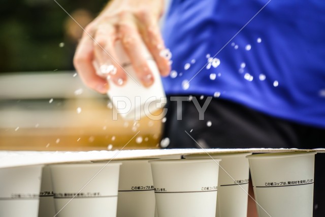 写真のタイトルが入ります