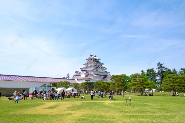 写真のタイトルが入ります